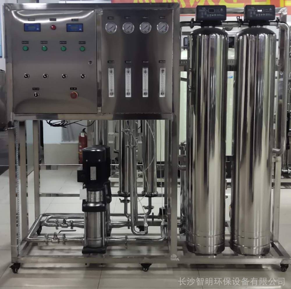 湖南岳靈生發(fā)用品有限公司0.25噸雙級(jí)反滲透設(shè)備